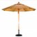 Most Popular Umbrellas